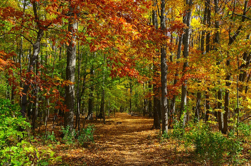 Closer Walk