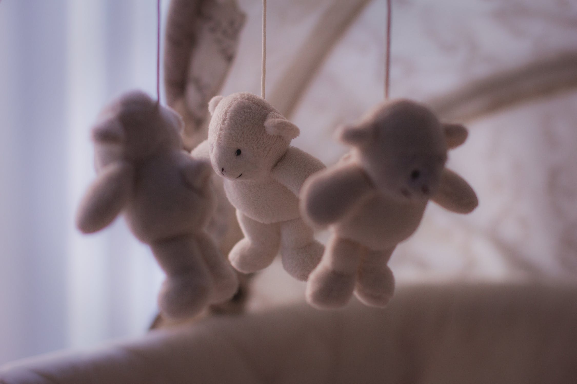 Seal’s Lullaby